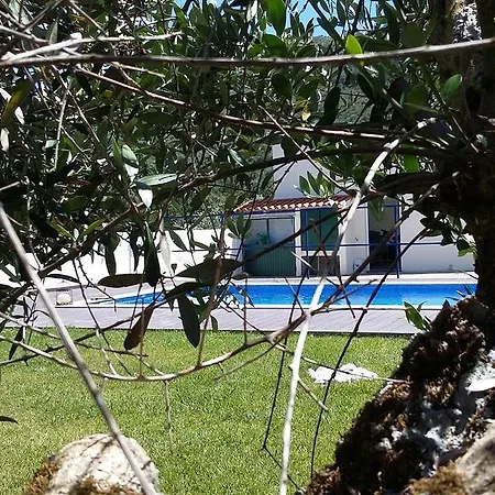 Villa Casa Oliveiras Alvados