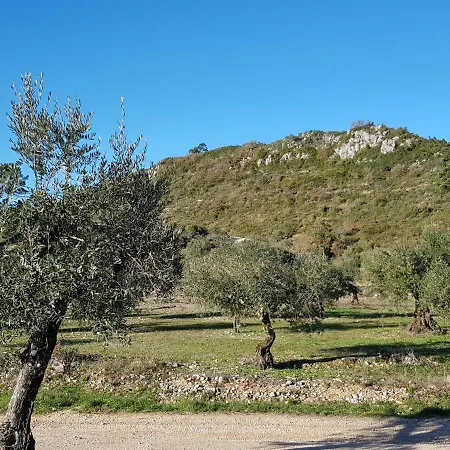 Casa Oliveiras 빌라