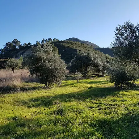 Casa Oliveiras * アルヴァドス