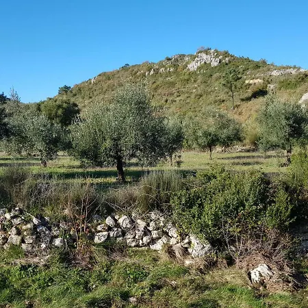 Casa Oliveiras 빌라