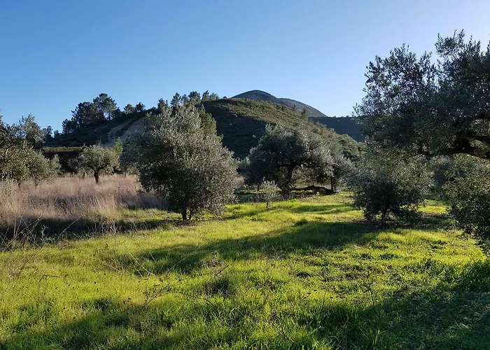 Casa Oliveiras * אלבדוס