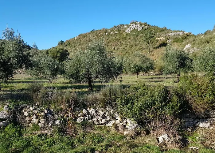 Casa Oliveiras וילה